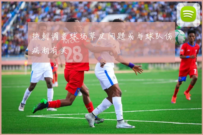 热刺调查球场草皮问题或与球队伤病潮有关