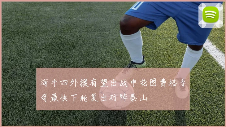 海牛四外援有望出战申花图费格季奇最快下轮复出对阵泰山